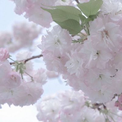 兽设场景氛围营造教程福瑞群